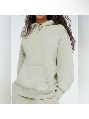 Aritzia Oversized Hoodie Sweatshirt